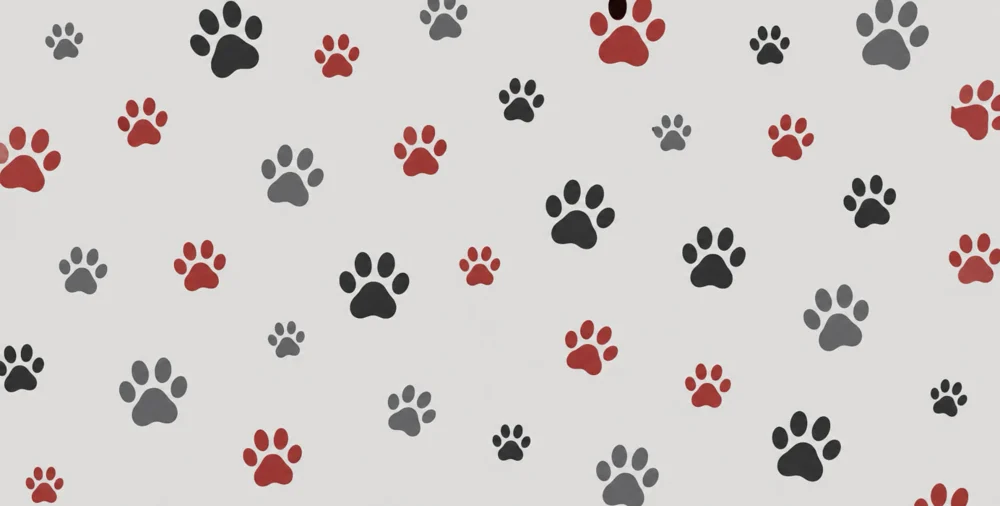 Veterinary care at Spectrum Pet Hospital