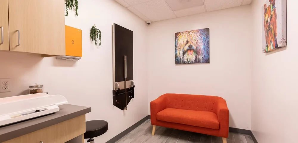 Dog examination room