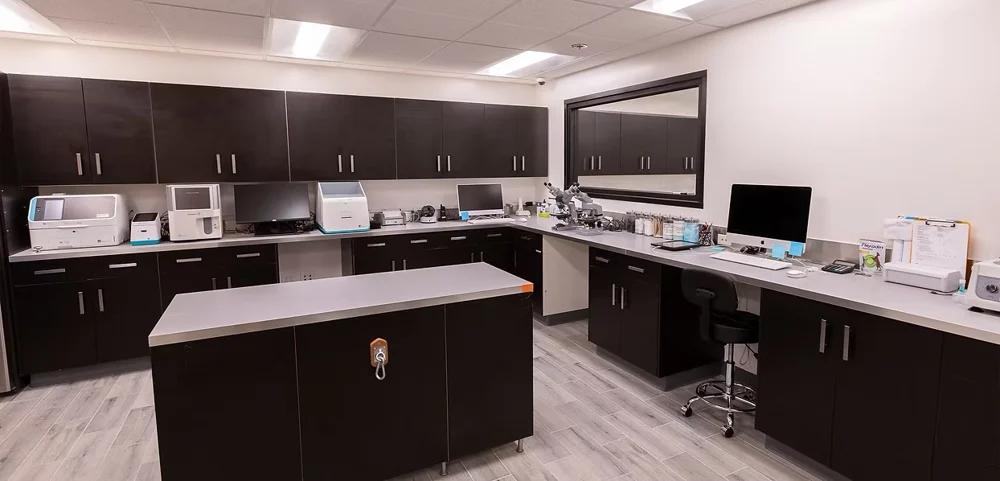 In-house laboratory equipment