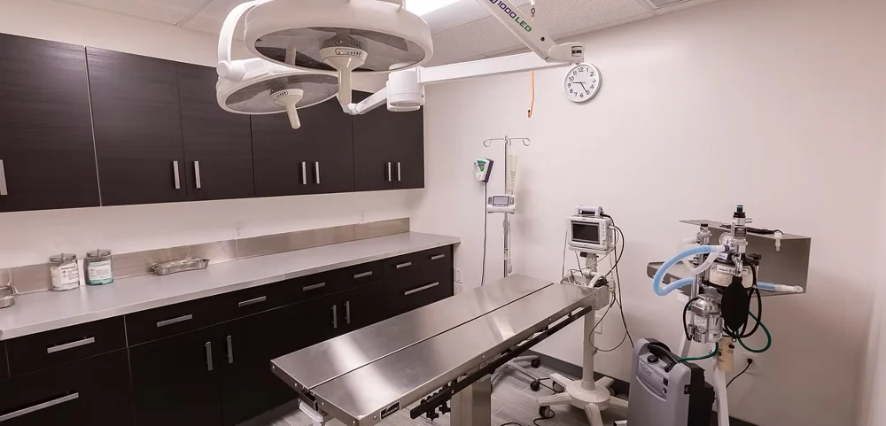 Surgical room and equipment